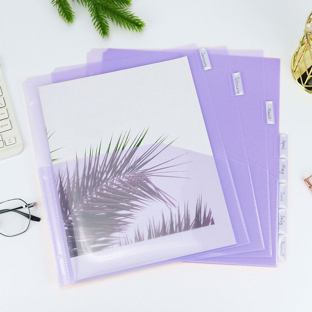 2Sets Transparent PP A4 Binder - đánh giá và giá Tab Divider A4