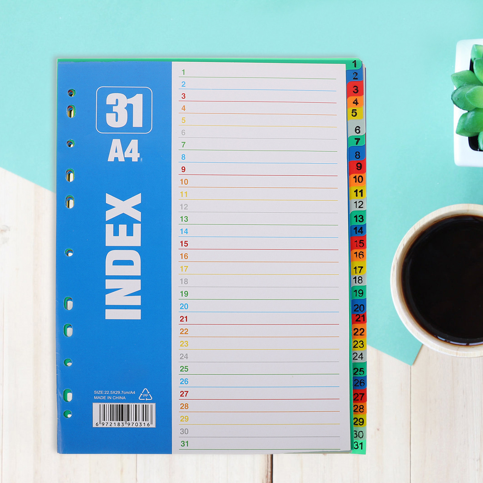 1Set A4 11-Hole Plastic Index  - đánh giá và giá Tab Divider A4