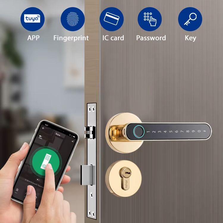 Tuya Biometric Fingerprint Sma - đánh giá và giá Letter Opener Brass