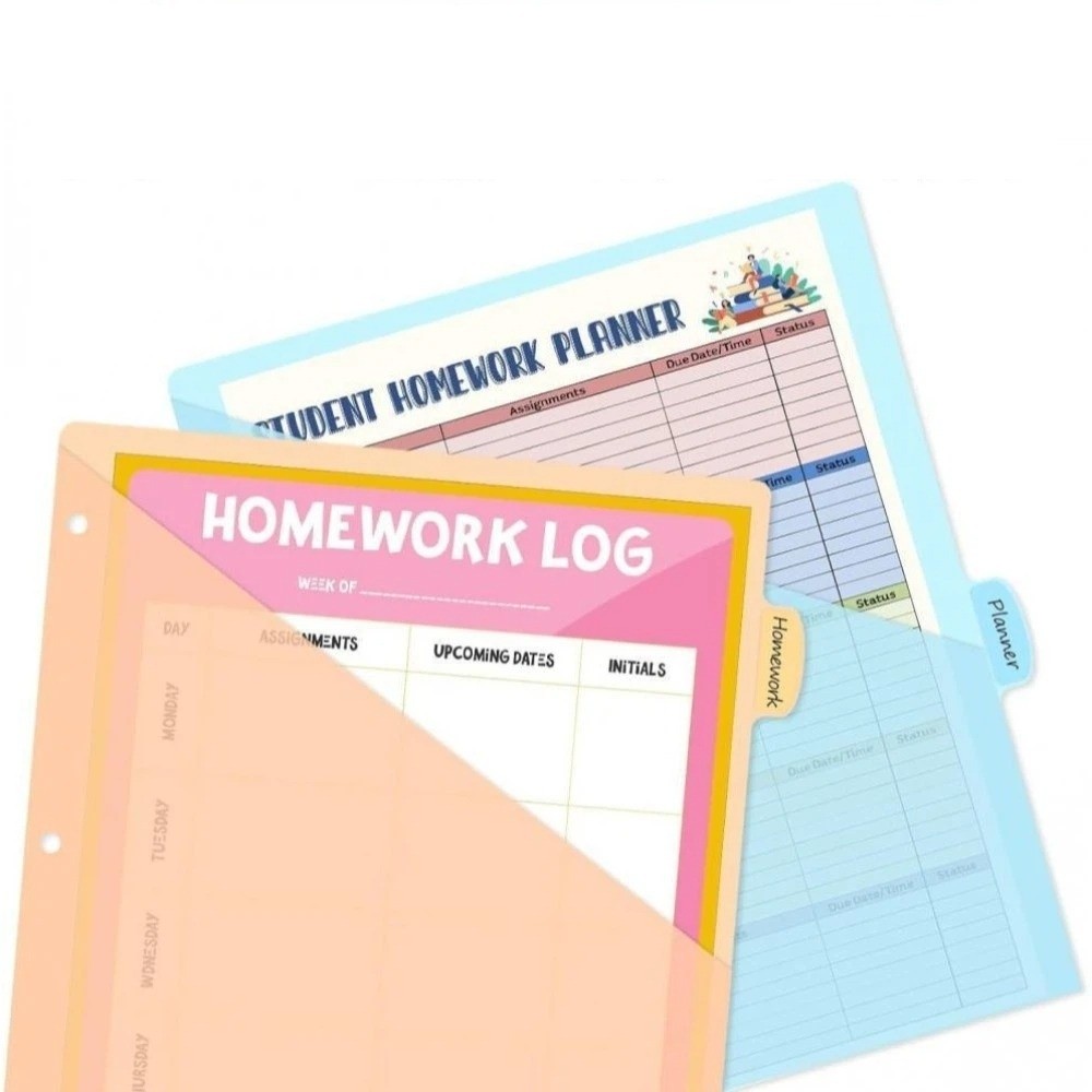 8 pcs Durable A4 Pastel Binder - đánh giá và giá Tab Divider A4