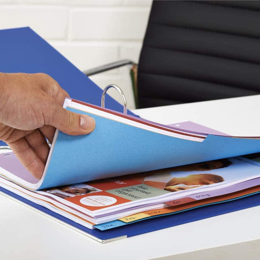 12Pcs A4 Index Dividers 11 Hol - đánh giá và giá Tab Divider A4